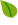 Punto